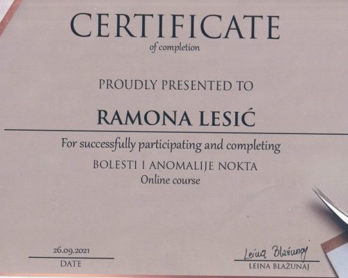 certifikat ramone lesić